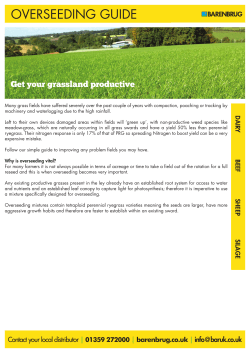 Overseeding Guide