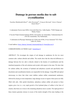 Damage in porous media due to salt crystallization