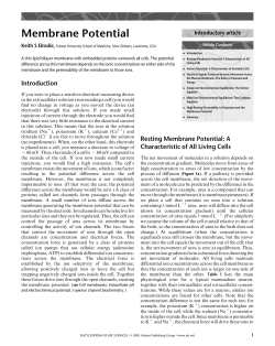 membrane potential