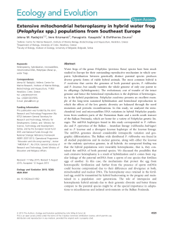 Extensive mitochondrial heteroplasmy in hybrid water frog