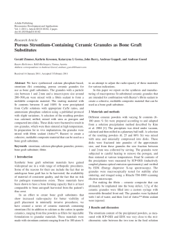 Porous Strontium-Containing Ceramic Granules as Bone Graft