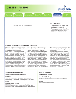 CHEESE &ndash; FINISING