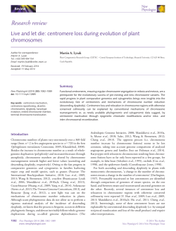 Live and let die: centromere loss during evolution of plant