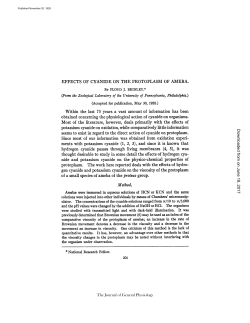 EFFECTS OF CYANIDE ON THE PROTOPLASM OF AMEBA. (From