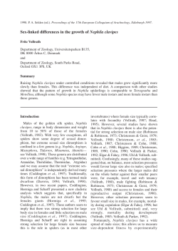 Sex-linked differences in the growth of Nephila clavipes