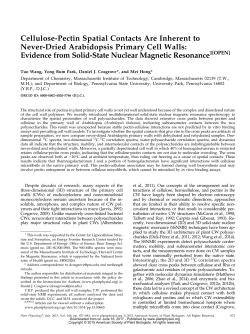 Cellulose-Pectin Spatial Contacts Are Inherent to
