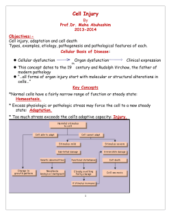 Cell Injury