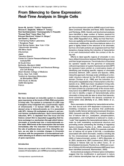 From Silencing to Gene Expression