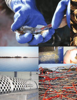 14 coastwatch | winter 2014 | www.ncseagrant.org