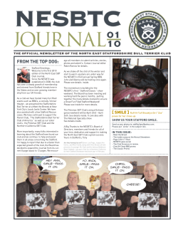 Newsletter Volume 1 2010