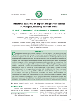 Intestinal parasites in captive mugger crocodiles (Crocodylus