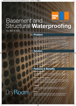 DryRoom Basement Waterproofing