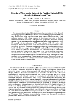 Detection of Virus-specific Antigen in the Nuclei or Nucleoli of Cells