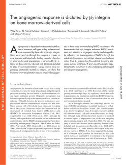 The angiogenic response is dictated by Я 3 integrin on bone marrow