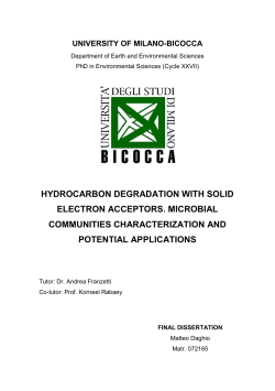 hydrocarbon degradation with solid electron acceptors. microbial