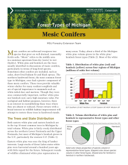 Mesic Conifers - Michigan State University Extension