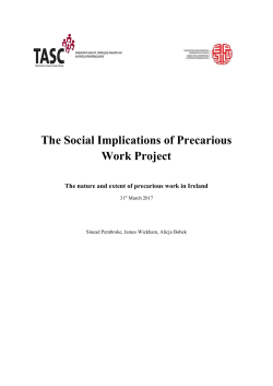 The Nature and extent of precarious work in Ireland