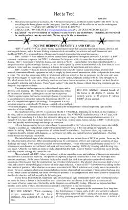 Hot to Trot - Hosmer Vet Clinic