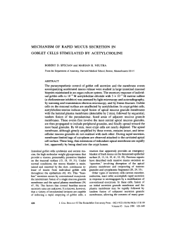 mechanism of rapid mucus secretion in goblet cells