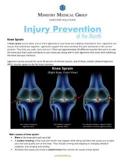 Knee Sprain - City of Stevens Point