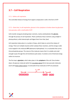 3.7 – Cell Respiration