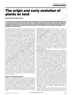 The origin and early evolution of plants on land