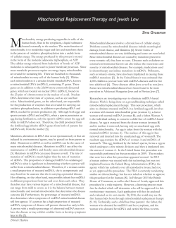 Mitochondrial Replacement Therapy and Jewish Law