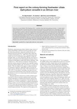 First report on the colony-forming freshwater