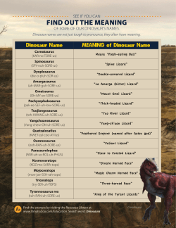 FIND OUT THE MEANING