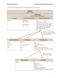 Handout: Animal Flashcard Activity (Part 2)
