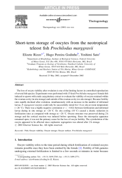 Short-term storage of oocytes from the neotropical teleost fish