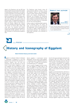 History and Iconography of Eggplant - Hort Purdue