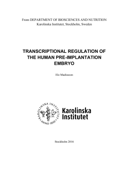 Thesis - KI Open Archive