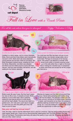 Fall in Love with a Couch Potato