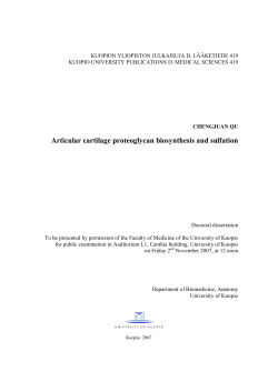 Articular cartilage proteoglycan biosynthesis and sulfation