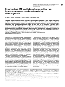 Synchronized ATP oscillations have a critical role in