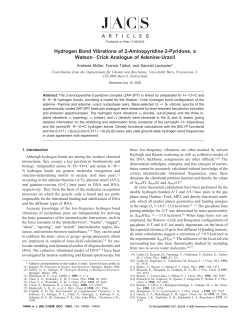 Hydrogen Bond Vibrations of 2-Aminopyridine&middot;2