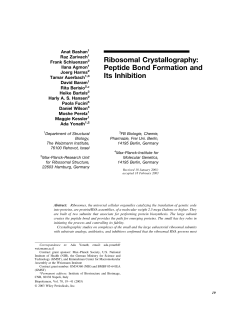 Ribosomal Crystallography: Peptide Bond Formation and Its Inhibition