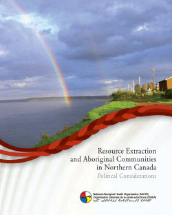 Political Considerations - National Aboriginal Health Organization