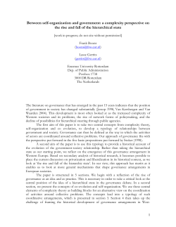 Between self-organization and government