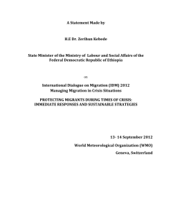 A Statement Made by H.E Dr. Zerihun Kebede State Minister of the