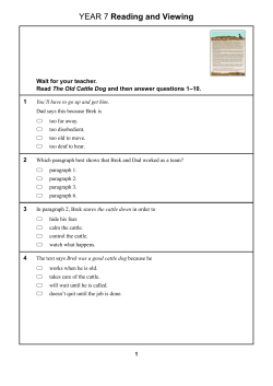 Set 4 Reading questions (PDF, 360 kB )