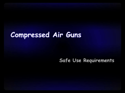 Compressed Air Guns