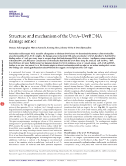 Structure and mechanism of the UvrA&ndash;UvrB DNA damage sensor