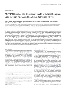ASPP1/2 Regulate p53-Dependent Death of Retinal Ganglion Cells