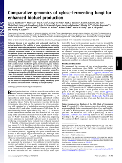 Comparative genomics of xylose-fermenting fungi for enhanced