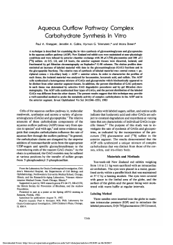 Aqueous outflow pathway complex carbohydrate synthesis in