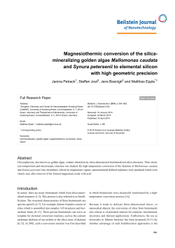 Magnesiothermic conversion of the silica