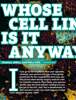 Science, ethics, and HeLa cells by Leanne Longwill
