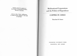 Multinational Corporations and the Politics of